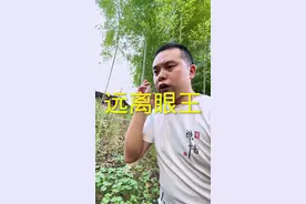 远离眼镜王蛇吧老铁！#五步蛇 #蛇类科普 #蛇🐍 #被毒蛇咬伤怎么办 #眼镜王蛇