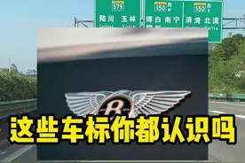 翅膀里有个B是什么车，这些车标你都认识吗#汽车知识 #每天一个用车知识视频封面