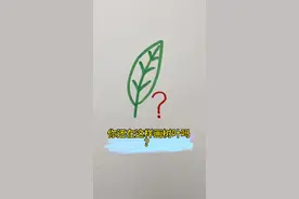 还在这样画树叶吗？来一起学画秋天的落叶吧！！！简单易学！！！ #简笔画 #一学就会系列 #落叶🍂 #画画 #学会快去试试吧🔥视频封面