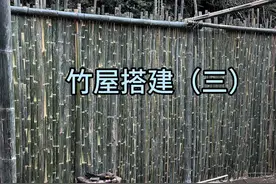竹屋搭建（三） 新手小白竹屋搭建第三期#农村生活 #我的乡村生活 #竹屋搭建 #抖音新农人 #我要上热门🔥视频封面