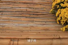 安徽省合肥市庐江县铺子岗的地名传说故事