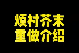 芥末重做完了，这波重做细节到位了吧！#我的世界 #烦人的村民 #我的世界模组