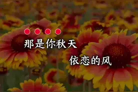 #音乐 #又见山里红#祁隆#太好听了视频封面