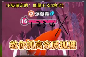 如何快速拥有高资质爆爆狐 #蛋仔派对 #蛋仔神奇艾比