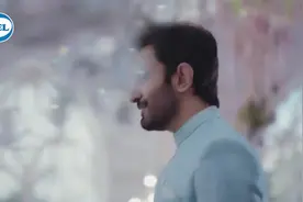 巴基斯坦官方语言是乌尔都语，和印度官方语言-印地语发音一致