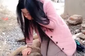 #狗狗保护陌生人自己却受到了伤害 #可爱的小狗  #狗子  #这狗成精了视频封面