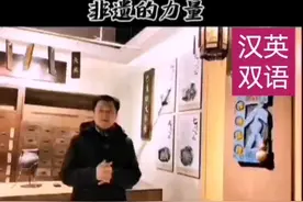 世界非遗张三丰奇效四法简介视频封面
