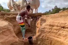 非洲热带地区常年干旱，水资源极其缺乏和宝贵 #原始部落#海外生活#记录真实生活#农村生活视频封面