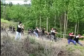 原来拔河比赛是这么来的，这才是真正意义上的拔河#拔河比赛 #农村欢乐多 #团结一心 #专治不开心