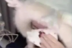 第一次硬核的熔火之心，擦汗用掉一整包纸... #魔兽世界二十周年 #魔兽世界攻略必看 #魔兽世界硬核模式#网易大神 #我们比你们多一个世界视频封面