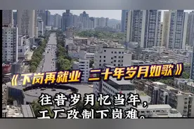 下岗再就业，今日二十年整#鸣潮#祝要强的你事事圆满 # 再就业视频封面