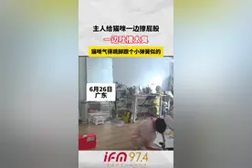 主人给猫咪一边擦屁股，一边吐槽太臭，猫咪气得跳脚跟个小弾簧似的视频封面