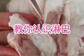 说说猪身上的淋巴#猪肉分割技巧 #左手刀鹏哥 #猪肉 #淋巴 #知识分享