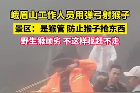 网传峨眉山工作人员用弹弓射猴子，景区回应：是猴管，此举为防止猴子抢东西，野生猴顽劣，不这样驱赶不走。视频封面