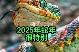 2025年农历蛇年双春闰月很特殊，公历与农历都充满了人类的智慧视频封面