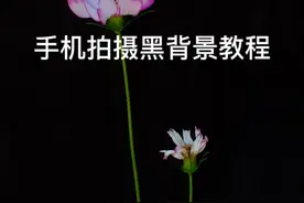 摄影小知识：不用舞台光模式也能拍黑背景，单反级压光技巧，任何手机都可以#摄影#手机摄影#构图#拍照#拍照技巧