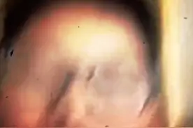 知识渊博的哥哥你好，我是孔武有力的妹妹～视频封面