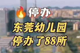 东莞民办幼儿园停办多所，截止2025年1月 东莞民办幼儿园停办多所，截止2025年1月#东莞幼儿园#东莞教育 #幼儿园 #东莞同城 #东莞升学视频封面