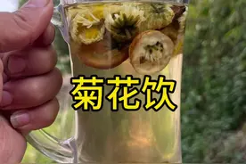 菊花饮 春天即是做茶的季节，也是适合喝茶的季节#这茶不错 #今天你喝茶了吗视频封面