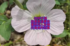 60年不遇，极度高温要来，今年要热到人发懵，究竟是咋回事