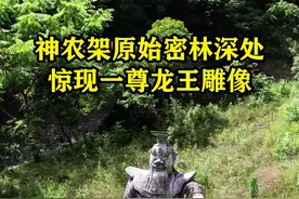 神农架原始丛林深处，惊现一尊龙王雕像，高约30余米，孤零零的矗立在深山密林之中，为何在建在如此隐蔽的地方，有何寓意？#探秘 #奇闻异事 #旅行推荐官 #神农架视频封面