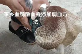 家乡血鸭散血零添加调血方法#农村生活 #永州血鸭