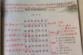 五年级语文下册9、《古诗三首》《闻官军收河南河北》视频封面