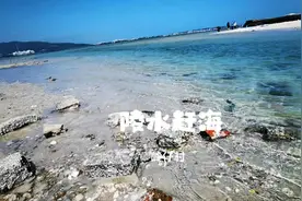 我刚刚在陵水发现了一个赶海好地方，不需要门票不需要坐船视频封面