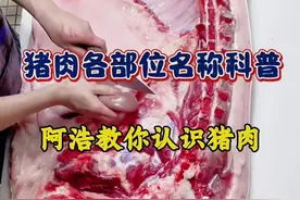 教年轻人认识猪肉，猪肉各部位名称详细讲解。 #猪肉 #猪肉分割技巧 #买猪肉怎么挑选好肉 #阿浩教你选猪肉 #教年轻人认识猪肉