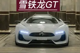 看到gt价格后小舅子都吓尿了#雪铁龙gt #雪铁龙 #超跑 #dou是好车