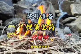 【该视频已屏蔽凡人】 要想丹药炼的好，珍惜宝药少不了#修仙