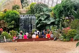 《草原英雄小姐妹》插曲《草原赞歌》由巴·布林贝赫作词视频封面