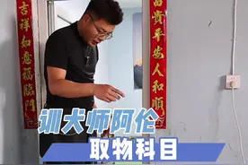 把这条视频看完，你家狗也能帮你拿任何东西。#萌宠出道计划 #狗狗 #养狗的乐趣 #狗狗训练技巧 #马犬视频封面