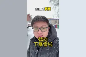 鹤岗下暴雪啦！作为南方人，我第一次听说“雪假”这个词 #鹤岗#暴雪#暴雪直播 #雪假