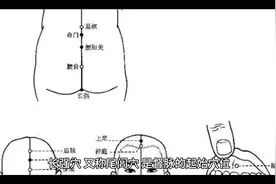 #每天跟我涨知识 今日分享长强穴视频封面