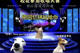 我们之间的回忆，全部都小心的收集#猫meme #校园#听歌 #原创视频视频封面