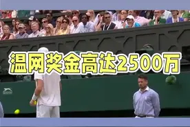 为什么温网在四大满贯中的地位这么尊崇？#温网 #武汉网球公开赛 #丙烯酸球场 #宜邦丽 #源头工厂视频封面