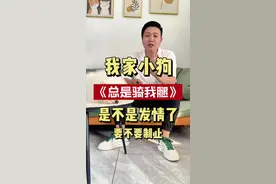 狗狗骑我的腿是发情了吗？视频封面