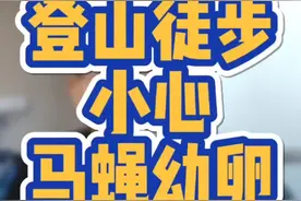 #户外 #登山 #哈巴 #雪山 #徒步 如何预防马蝇