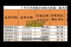 中国十大光伏上市公司有哪些？#十大光伏 #上市光伏企业