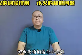 火的调候作用  水火的和谐问题 #天干地支 #传统文化 #十二生肖视频封面
