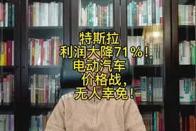 特斯拉利润大降71%！电动汽车价格战，无人幸免！#电动汽车