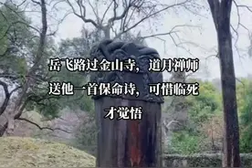 1140年春，岳飞路过金山寺，与道月禅师叙旧。禅师已经隐隐察觉到朝廷对岳飞的态度有些微妙的变化。临别时，禅师出于对挚友的关怀，送上一首预警的诗:“风波亭下水滔滔，千万坚心把舵牢。只恐同行人意歹，将身推落在涛旁。”这首诗警示岳飞注意身后奸佞的陷害。然而忠心报国的岳飞内心已无丝毫退缩。为了宋朝江山社稷，以及百姓的安康，他决心矢志不渝。哪怕是面对失去性命的威胁，也在所不惜。1141年冬，岳飞再次率军来到郾城附近。此时只要攻占郾城，就可直插敌军要害，收复河南大部分故土。没想到就在此时，高宗又发出诏书，命令岳飞与各路将领一起进入京城觐见。面对国家大义，岳飞不得不率领各路大将返京。当他一行人刚进入京城时，宋军立刻将他们打为囚犯!原来这是秦桧设下的陷阱。此时此刻，岳飞才终于醒悟过来自己中计，而穷途末路的绝境到来了。#岳飞#秦桧#人物故事#抖音站外播放激励计划#抖音创作者激励计划视频封面