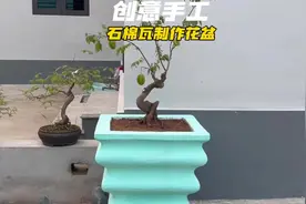 小伙仅用石棉瓦就制作出了一个漂亮的花盆，太厉害了#制作过程视频封面