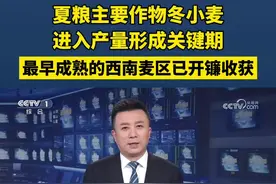 夏粮主要作物冬小麦进入产量形成关键期 最早成熟的西南麦区已开镰收获视频封面