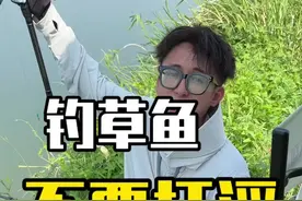 野钓草鱼不要打浮，钓底最稳妥！#钓草鱼 #原来钓鱼才是抖音运动顶流 #钓鱼技巧 #钓鱼人就是这么疯狂 #野钓