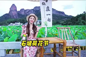 又是一年荷花季，你来石城赏荷花了吗？#又到了赏荷花的季节