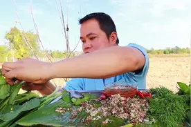 #泰国美食 泰国嗯哼哥凉拌红蚂蚁蛋配辣椒酱 中文字幕下视频封面