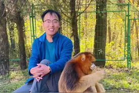 偶遇秦岭四宝之一陕西版“金丝猴”——窄版猴！路过的人群都把好吃的上供给猴子吃，有核桃、花生🥜、苹果、葡萄🍇、香蕉🍌、爆米花🍿、包子、橘子🍊……发现猴子🐒最爱吃坚果类的食物，那坚果类的最爱吃哪个呢？