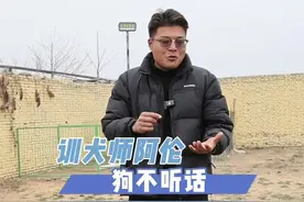 你家的狗能听懂你说的话吗？#狗：多少有点为难我了 #狗被养得好的表现 #狗狗训练技巧 #如何训练小狗 #狗狗知识大全视频封面